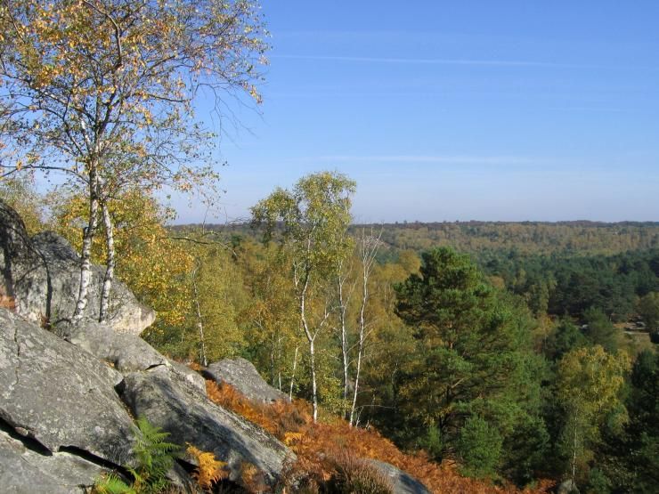 Image légendée