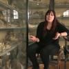 Marylène Patou-Mathis : un nouveau regard sur Neandertal