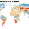 carte perte de la biodiversité dans le monde