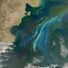 Sur cette image de la NASA réalisée par le satellite Aqua, on constate en vert et en bleu laiteux la prolifération de phytoplancton au large de la côte atlantique de la Patagonie le 21 décembre 2010  © NASA/AFP/Archives HO