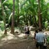 Polynésie, un écosystème sous haute surveillance #2