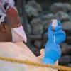 Vaccin contre Ebola : premier pas vers une mise sur le marché 