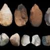 Des outils variés pour Homo erectus