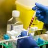 Echantillons sanguins pour des tests sérologiques, afin de vérifier si le patient a développé des anticorps, au laboratoire de l'hôpital TorVergata à Rome, le 6 mai 2020