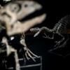 Des chercheurs canadiens ont découvert le premier cas de cancer connu chez un dinosaure, selon une étude publiée dans le numéro du mois d'août de la revue scientifique The Lancet Oncology © AFP/Archives Kenzo Tribouillard