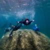 1-	Des scientifiques nagent au-dessus du corail Porites à Goolboodi © Woody Spark