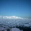 La banquise antarctique a atteint à la fin de l'été austral, en février, son niveau le plus bas depuis 44 an © AFP/Archives Johan ORDONEZ