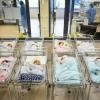 Des nouveau-nés dans une maternité à Sofia en Bulgarie