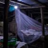Un vendeur dort sur le marché de Kampala, dans une moustiquaire afin de se protégéer des moustiques vecteurs du paludisme.