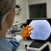 Une technicienne observe au microscope le nombre de cellules d'une peau artificielle dans le cadre du projet Genesis du laboratoire Urgo, le 16 décembre 2022 à Chenôve, en Côte d'Or © AFP Arnaud Finistre