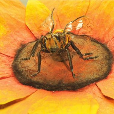 abeille dans une fleur