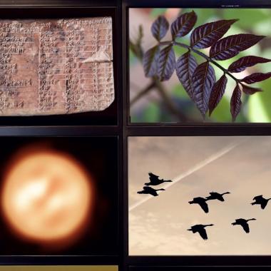 Journal des sciences