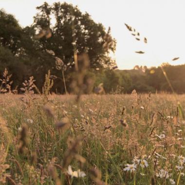 Nature = futur !