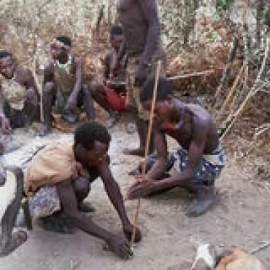 Les citadins se dépensent autant que les chasseurs-cueilleurs