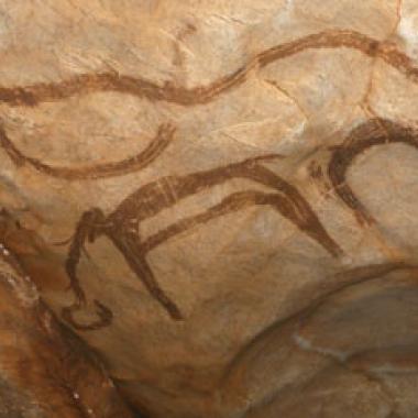 Baume Latrone : la petite sœur de Chauvet