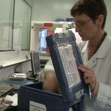 Voir la vidéo de Cordon ombilical : des cellules en or ?