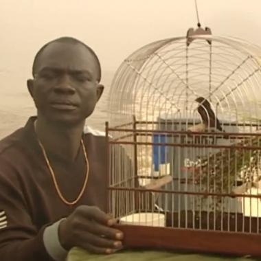 Voir la vidéo de Télémédecine en Guyane