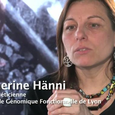 Voir la vidéo de Catherine Hänni : sur la trace du génome de nos ancêtres