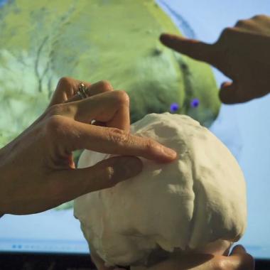 See video of Cro-Magnon avait-il un plus petit cerveau ?