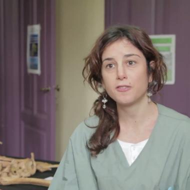 Voir la vidéo de Argentine : des os en quête d&#039;identité