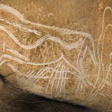 Voir la vidéo de La grotte Chauvet révélée par la 3D