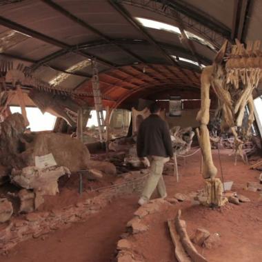 Voir la vidéo de Patagonie, terre de dinosaures