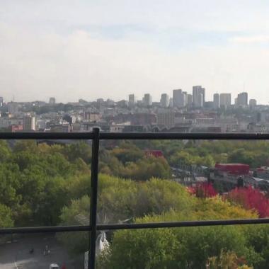 Voir la vidéo de CO2 en direct sur le toit de la Cité