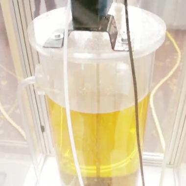 Voir la vidéo de Urine, nouvel or vert ?