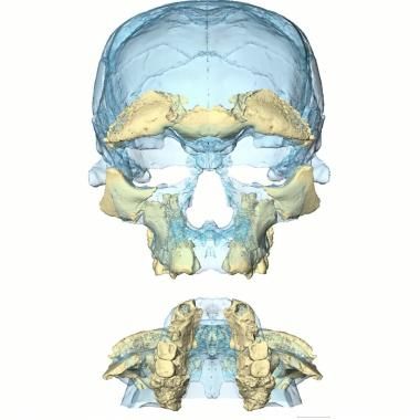 Voir la vidéo de Jebel Irhoud : Homo sapiens a 300 000 ans