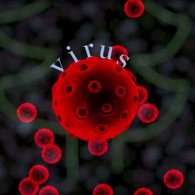 Voir la vidéo de Immunisés ? Un nouveau regard sur les vaccins
