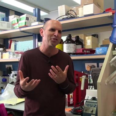 Voir la vidéo de David Dedi Meiri : Israël parie sur le cannabis médical