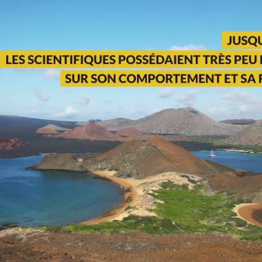 Voir la vidéo de A l'écoute des ondes sismiques
