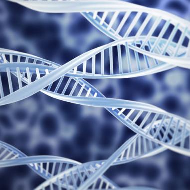 Myopathie de Duchenne : le saut d'exon au service du muscle