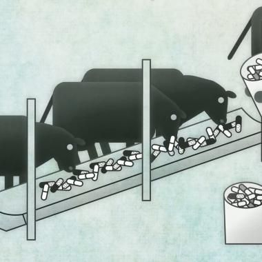 Voir la vidéo de Antibiotic résistance