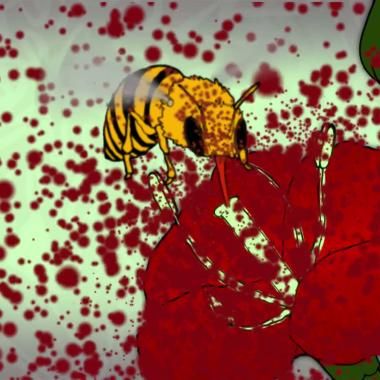 Voir la vidéo de A comme abeille
