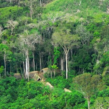 L’Amazonie, une forêt très civilisée