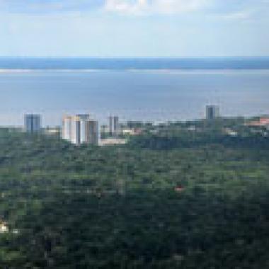 Amazonas : un exemple de lutte contre la déforestation