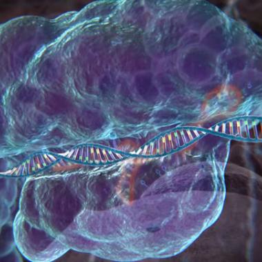 Un humain traité avec la technologie CRISPR-Cas9