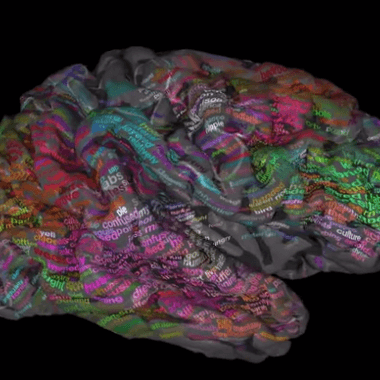 À chaque mot sa place dans le cerveau