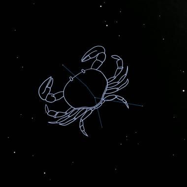 Voir la vidéo de Le Crabe, le Scarabée et la Grenouille
