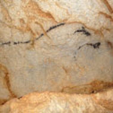 L’Europe de la culture est née il y a 36 000 ans !