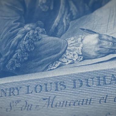 Corpus, histoire de la médecine