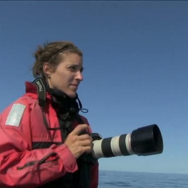 Voir la vidéo de Canada, la route des baleines