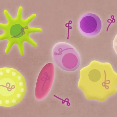 Voir la vidéo de Ebola