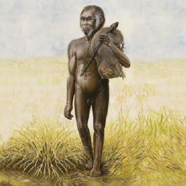 Erectus fait Florès