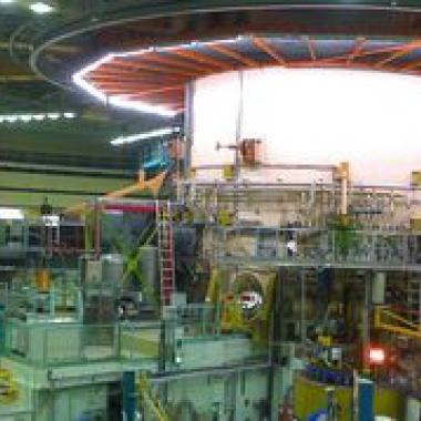 Le neutron,  la graine et le comprimé