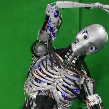 Souples et musclés, des robots d’un nouveau genre