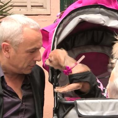 Voir la vidéo de Les yeux dans la truffe... des chiens