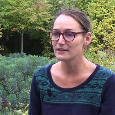 Voir la vidéo de Audrey Hasson et les courants marins