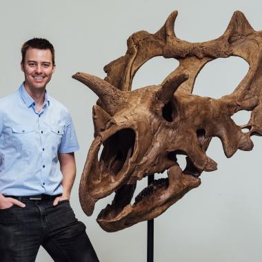 Deux nouvelles espèces de dinosaures découvertes